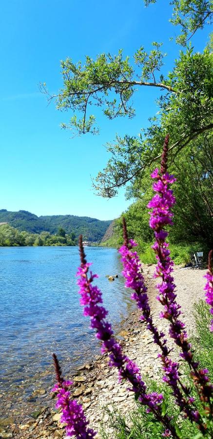 Ferienwohnung Ambiente Klotten Dış mekan fotoğraf