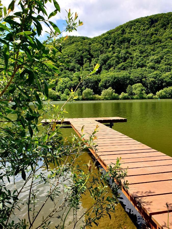 Ferienwohnung Ambiente Klotten Dış mekan fotoğraf